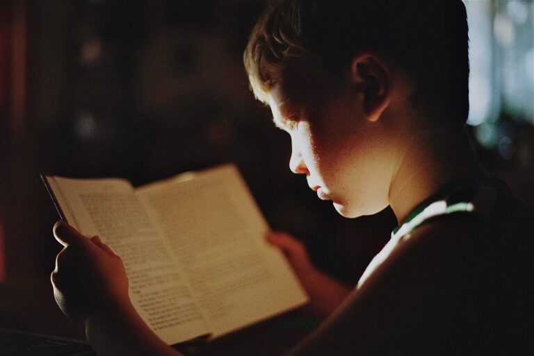 boy, book, reading, literature, read, education, study, studying, knowledge, focus, student, kid, child, young, reading, reading, education, education, education, study, study, study, study, study, studying, knowledge, focus, focus, student, student, student, student