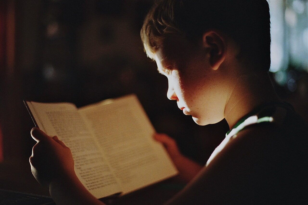 boy, book, reading, literature, read, education, study, studying, knowledge, focus, student, kid, child, young, reading, reading, education, education, education, study, study, study, study, study, studying, knowledge, focus, focus, student, student, student, student